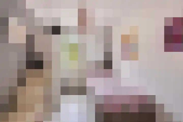 Sedanlaan 27 Eindhoven thumbnail 32
