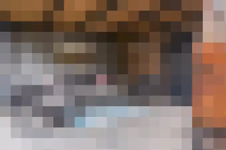Sedanlaan 27 Eindhoven thumbnail 44