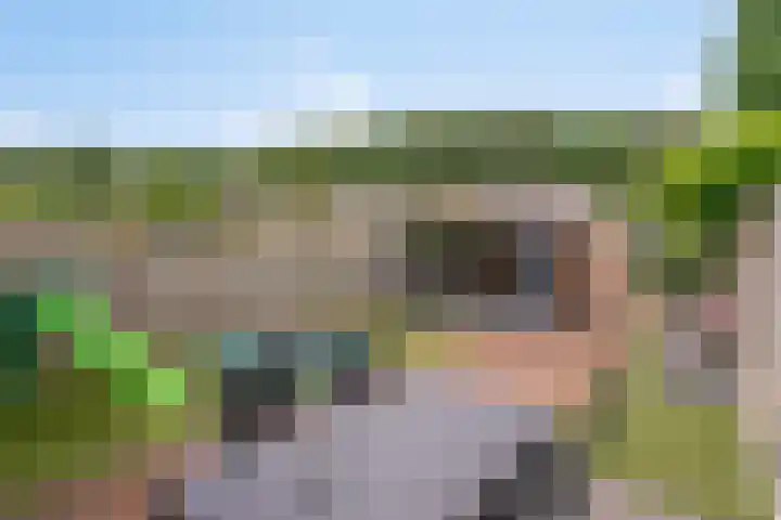 Sedanlaan 27 Eindhoven thumbnail 45