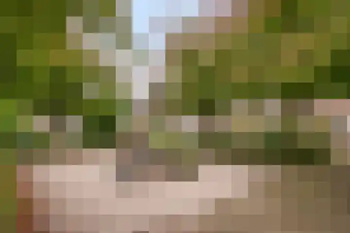 Sedanlaan 27 Eindhoven thumbnail 50