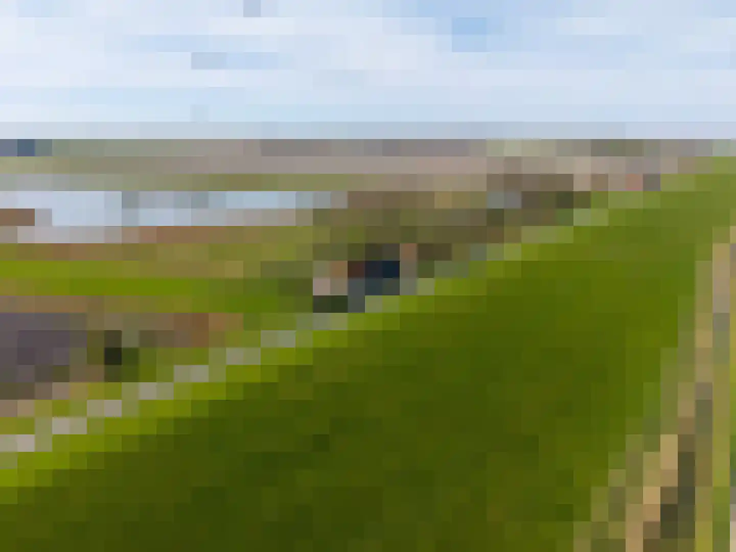 Sedyk 1 Tzummarum thumbnail 13