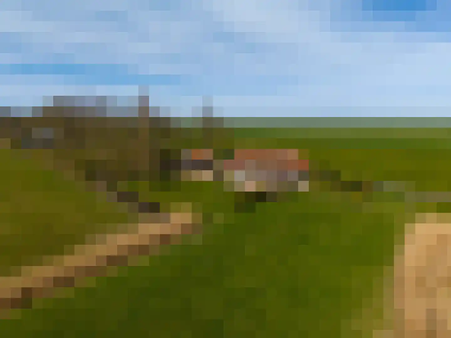 Sedyk 1 Tzummarum thumbnail 15