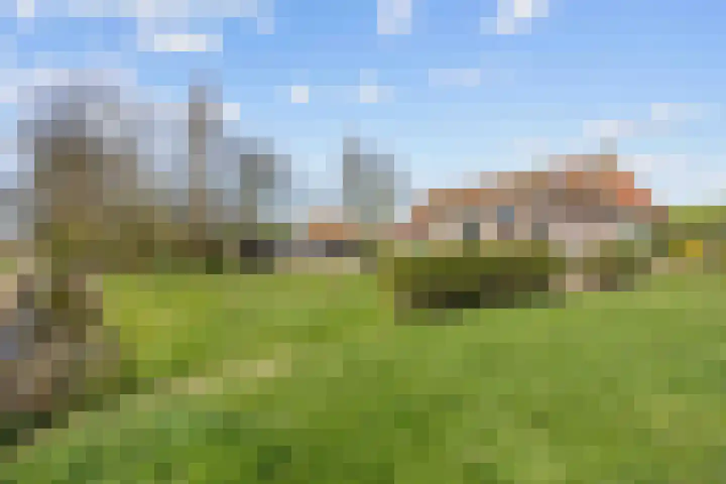 Sedyk 1 Tzummarum thumbnail 21