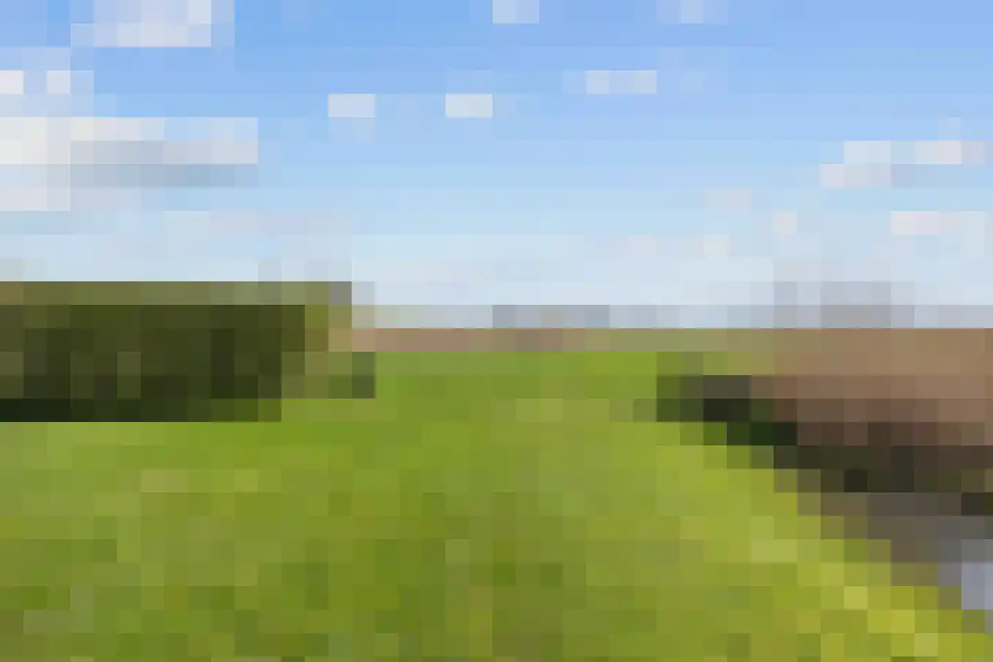 Sedyk 1 Tzummarum thumbnail 28