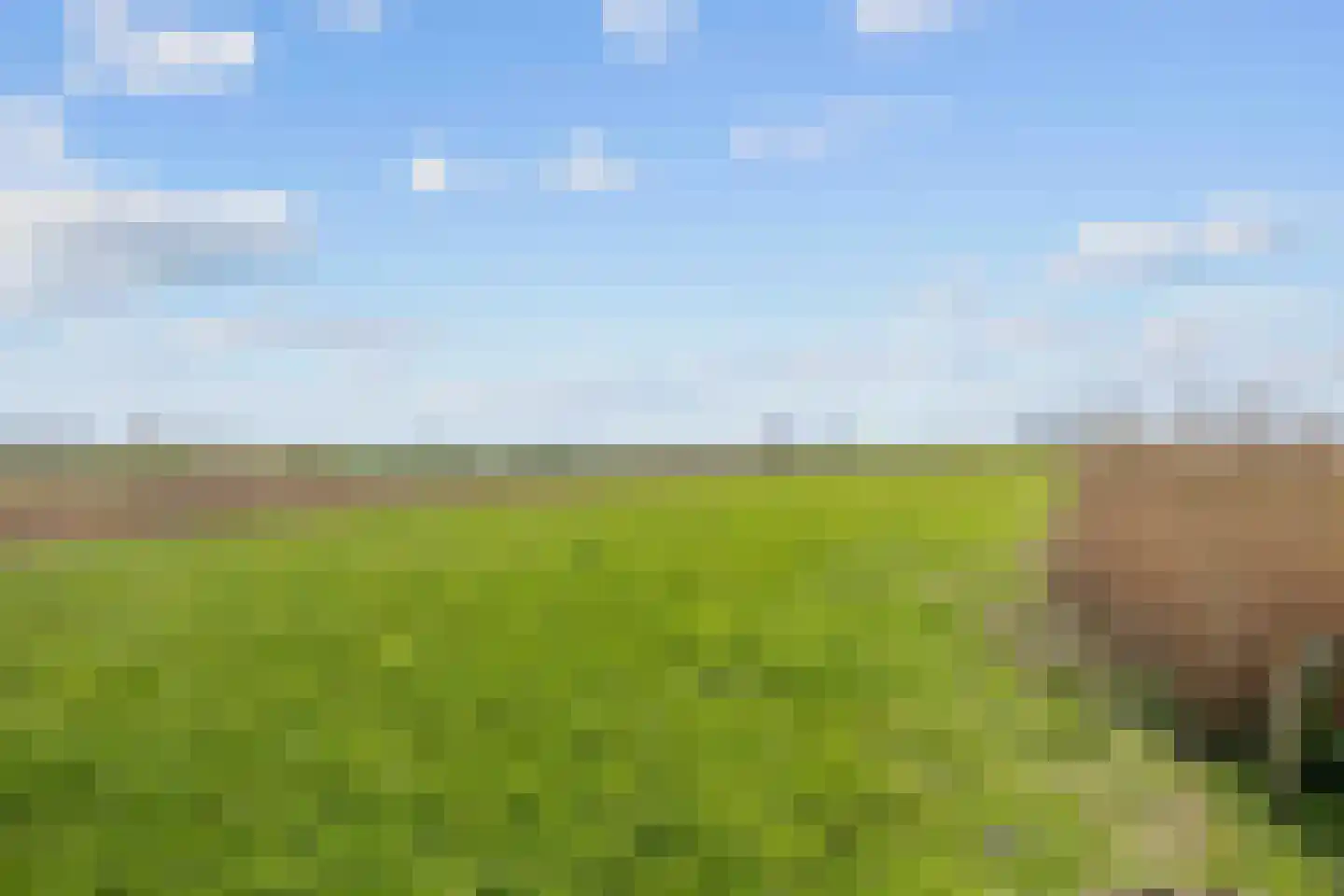 Sedyk 1 Tzummarum thumbnail 29