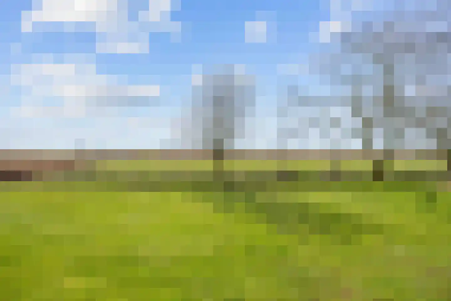 Sedyk 1 Tzummarum thumbnail 32