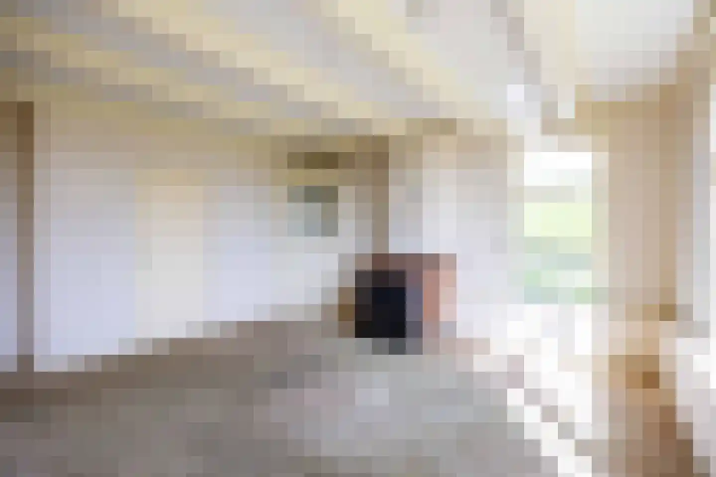 Sedyk 1 Tzummarum thumbnail 43