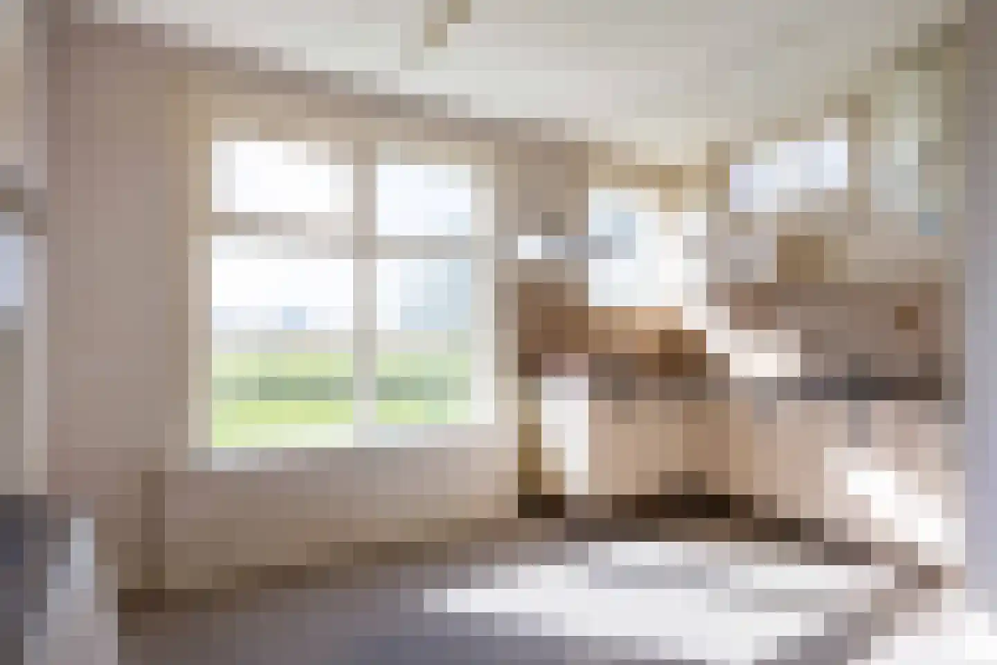 Sedyk 1 Tzummarum thumbnail 49