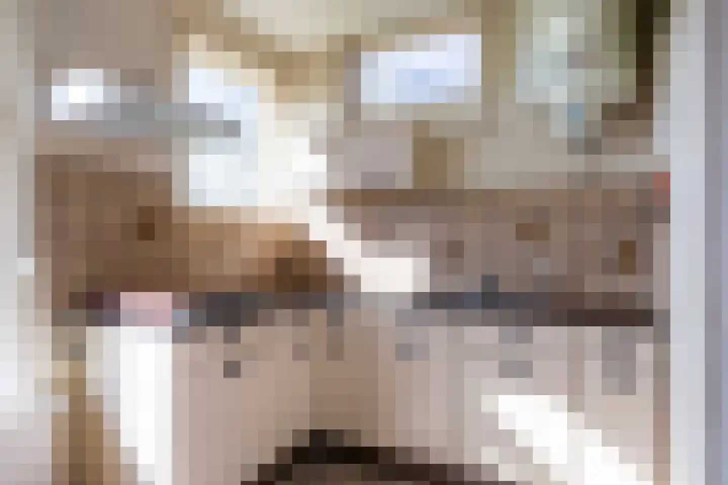 Sedyk 1 Tzummarum thumbnail 51