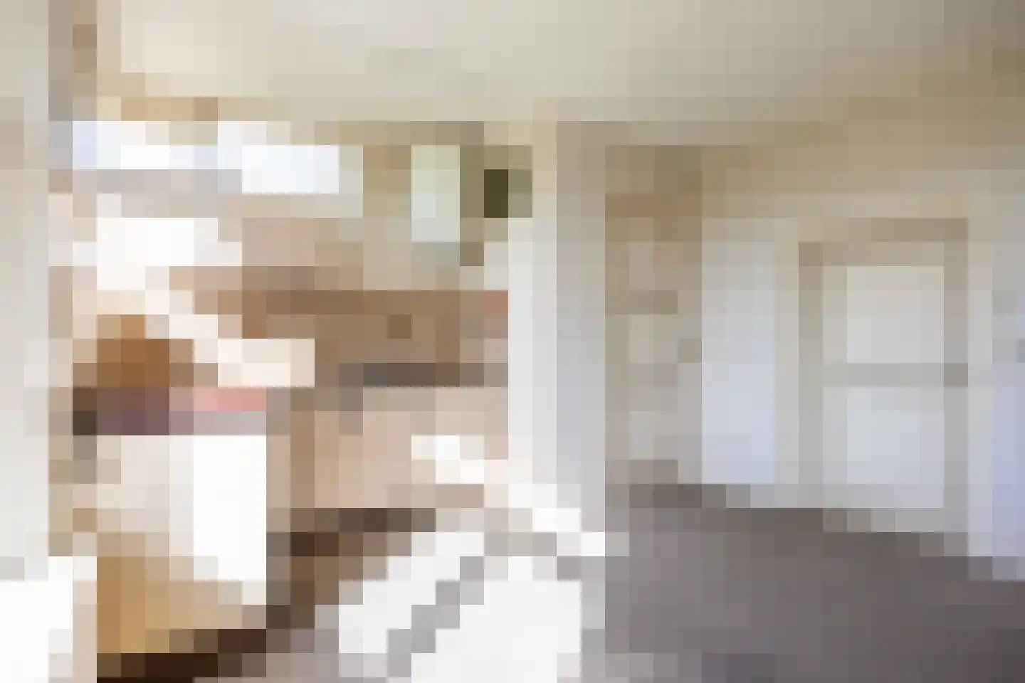 Sedyk 1 Tzummarum thumbnail 52