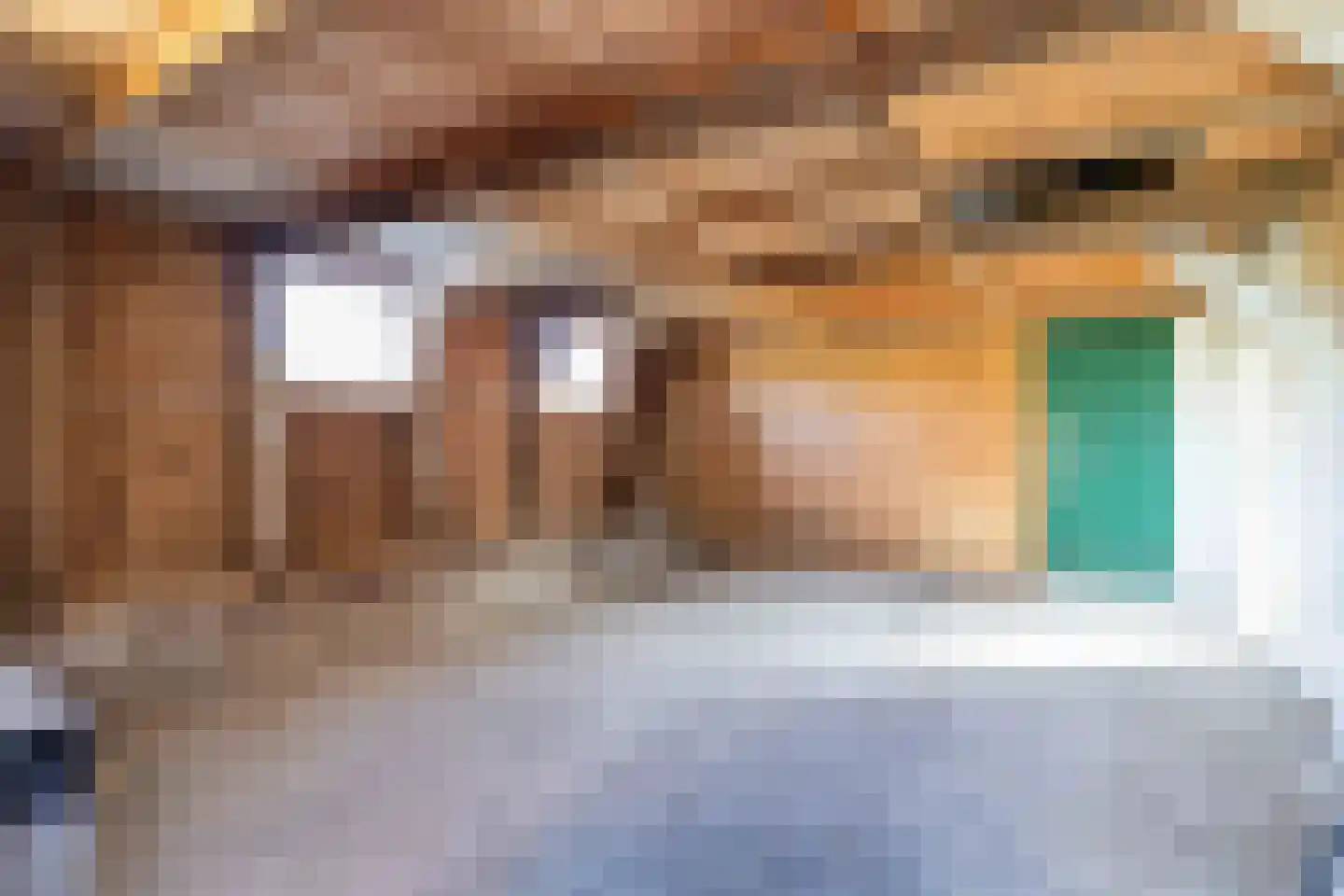 Sedyk 1 Tzummarum thumbnail 55