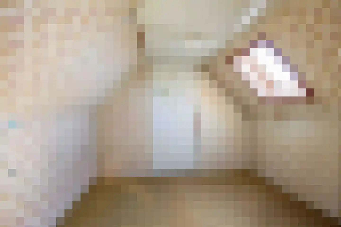 Sedyk 1 Tzummarum thumbnail 57