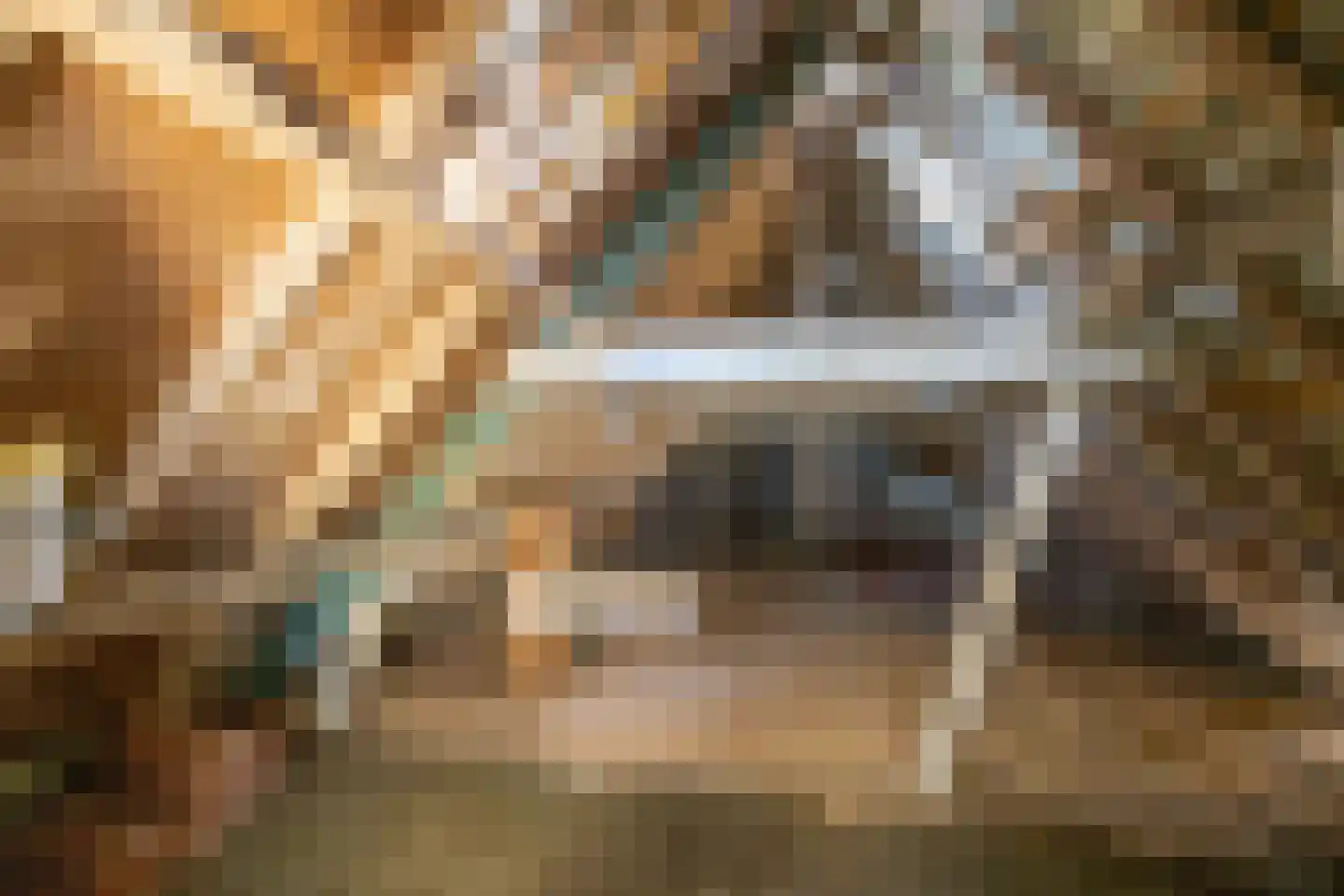 Sedyk 1 Tzummarum thumbnail 59