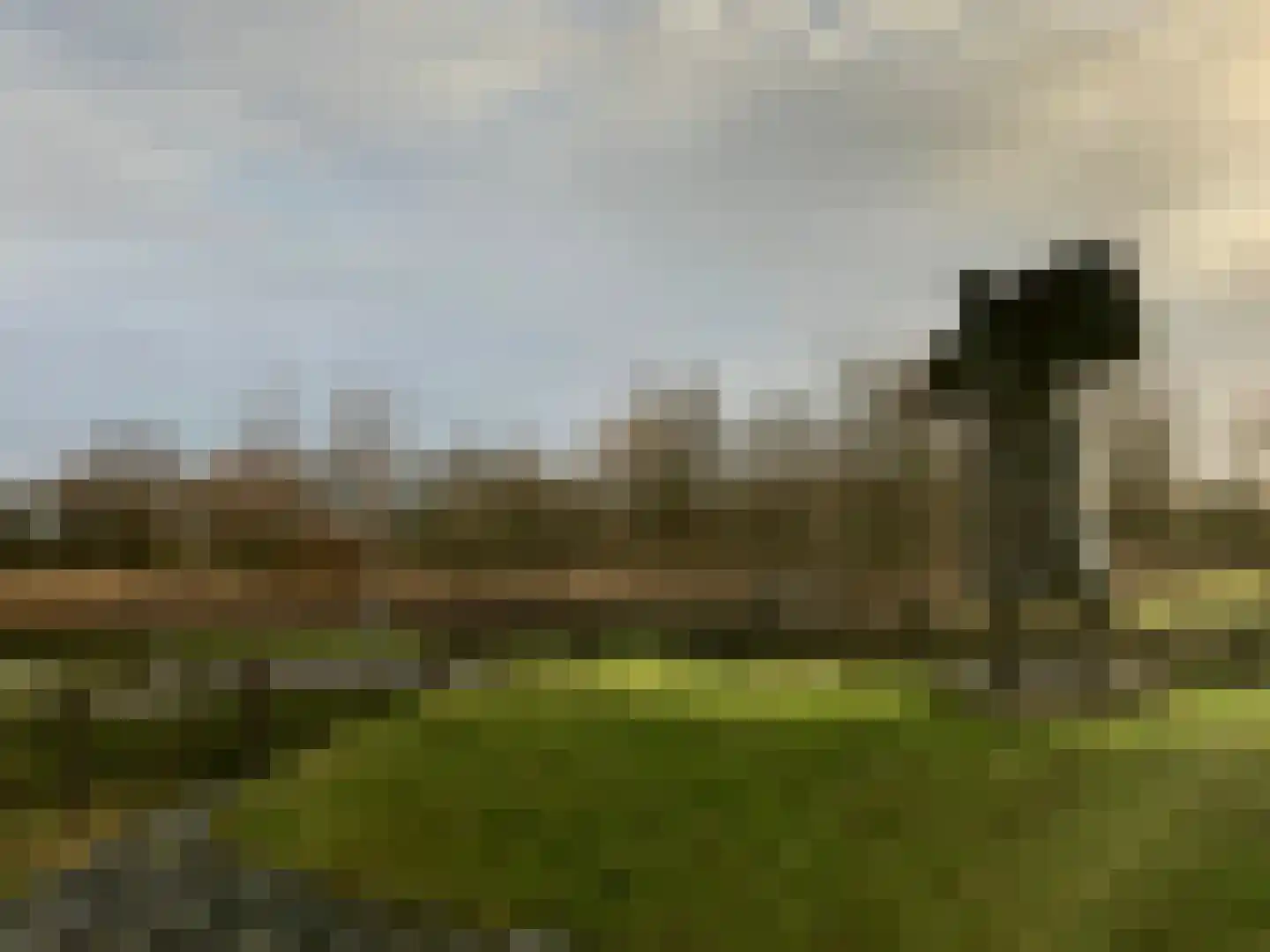 Sedyk 1 Tzummarum thumbnail 60