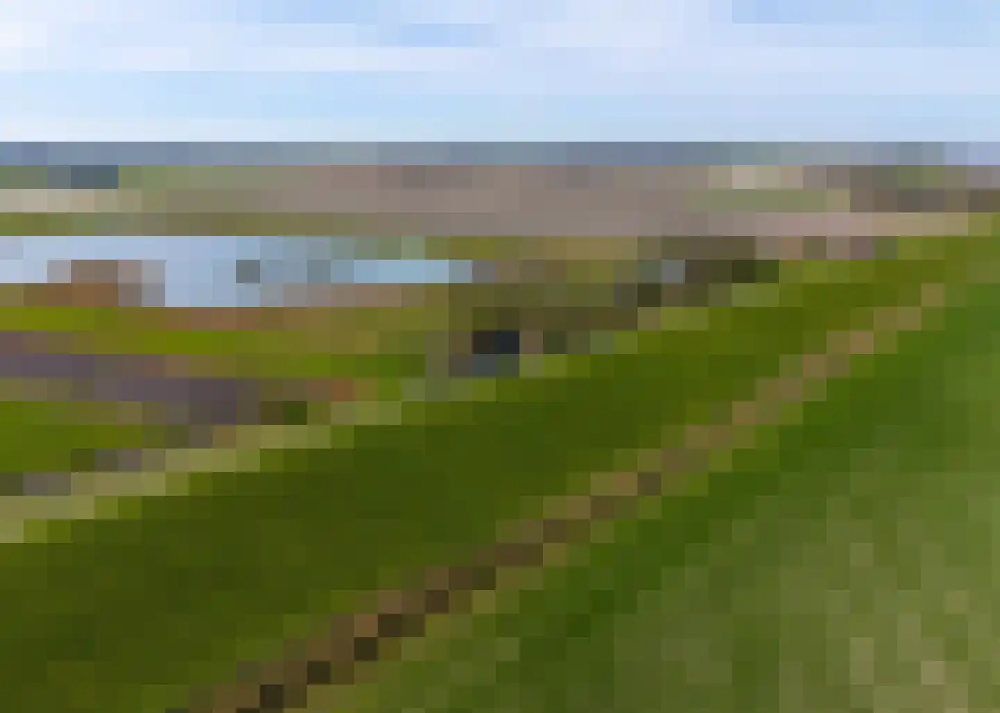 Sedyk 1 Tzummarum thumbnail 8