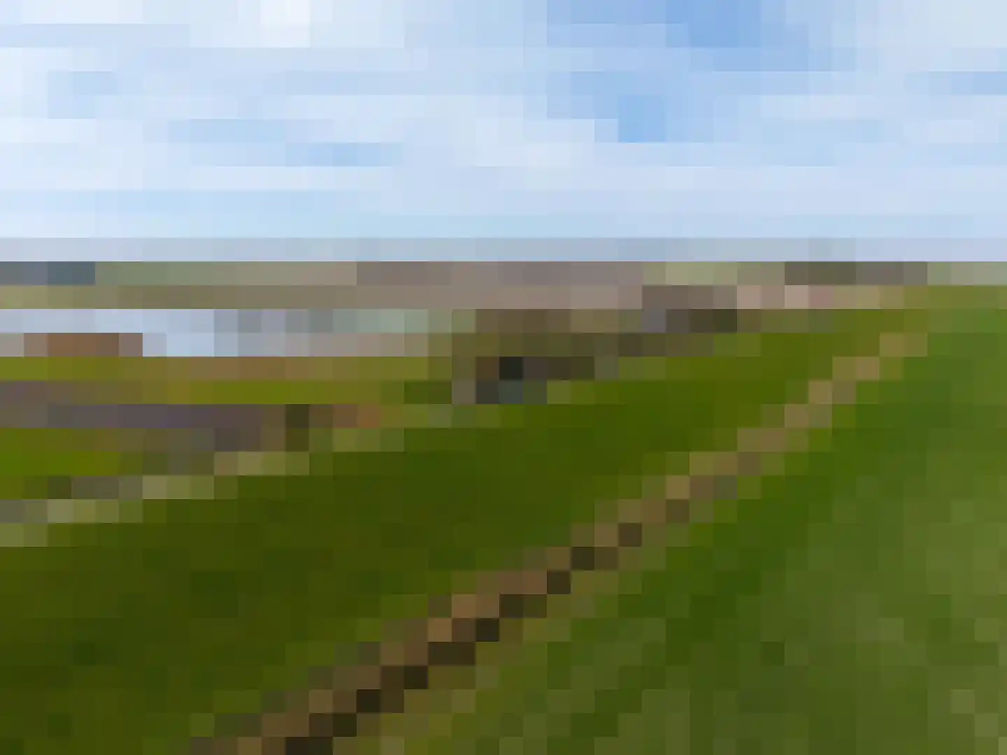 Sedyk 1 Tzummarum thumbnail 8