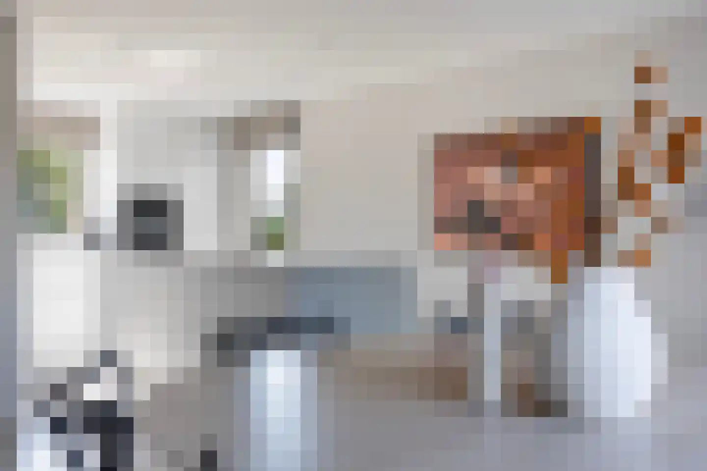 Seel 21 Terherne thumbnail 19
