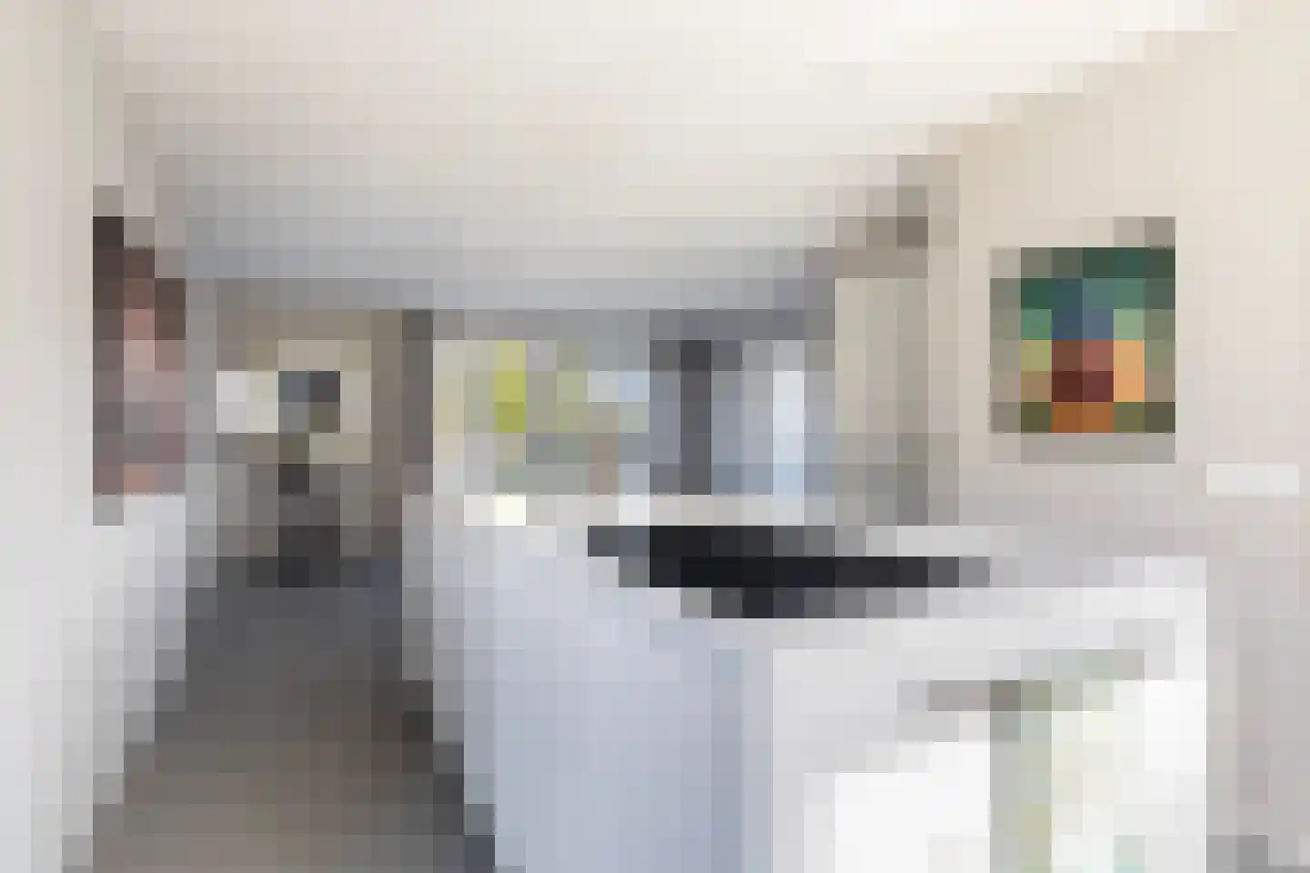 Seel 21 Terherne thumbnail 21