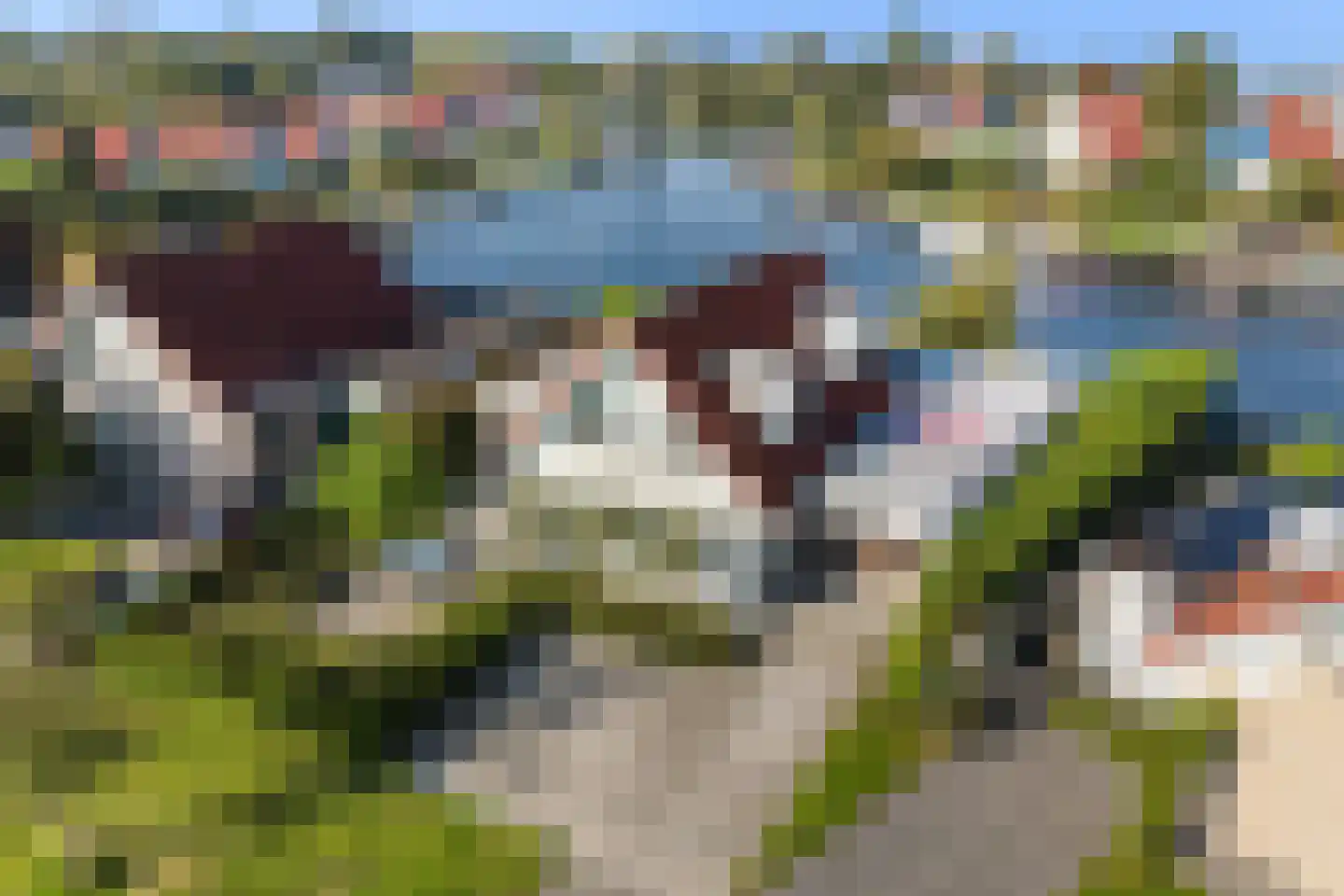 Seel 21 Terherne thumbnail 4
