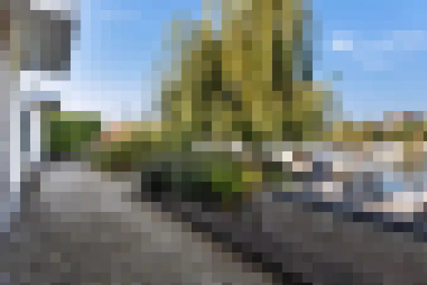Seel 21 Terherne thumbnail 43