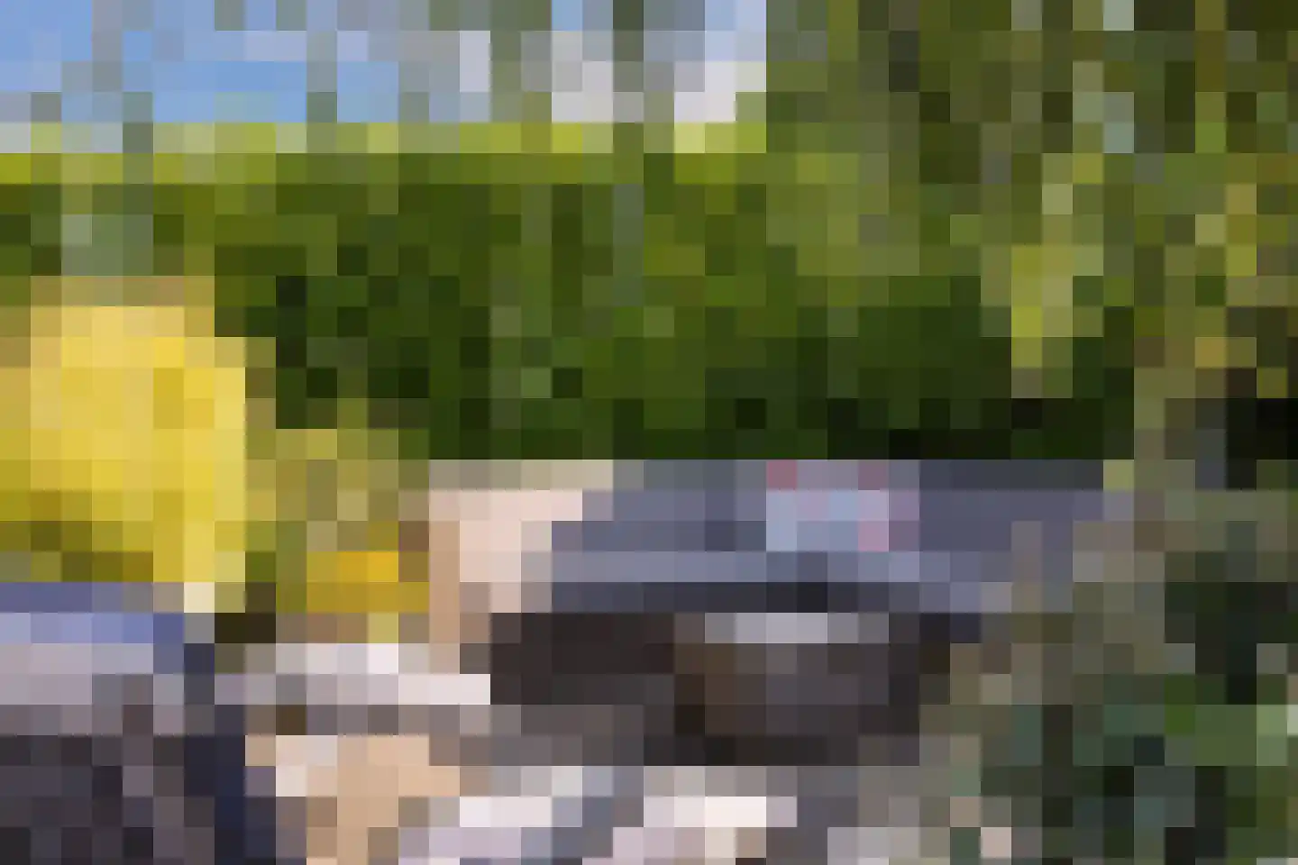 Seel 21 Terherne thumbnail 46