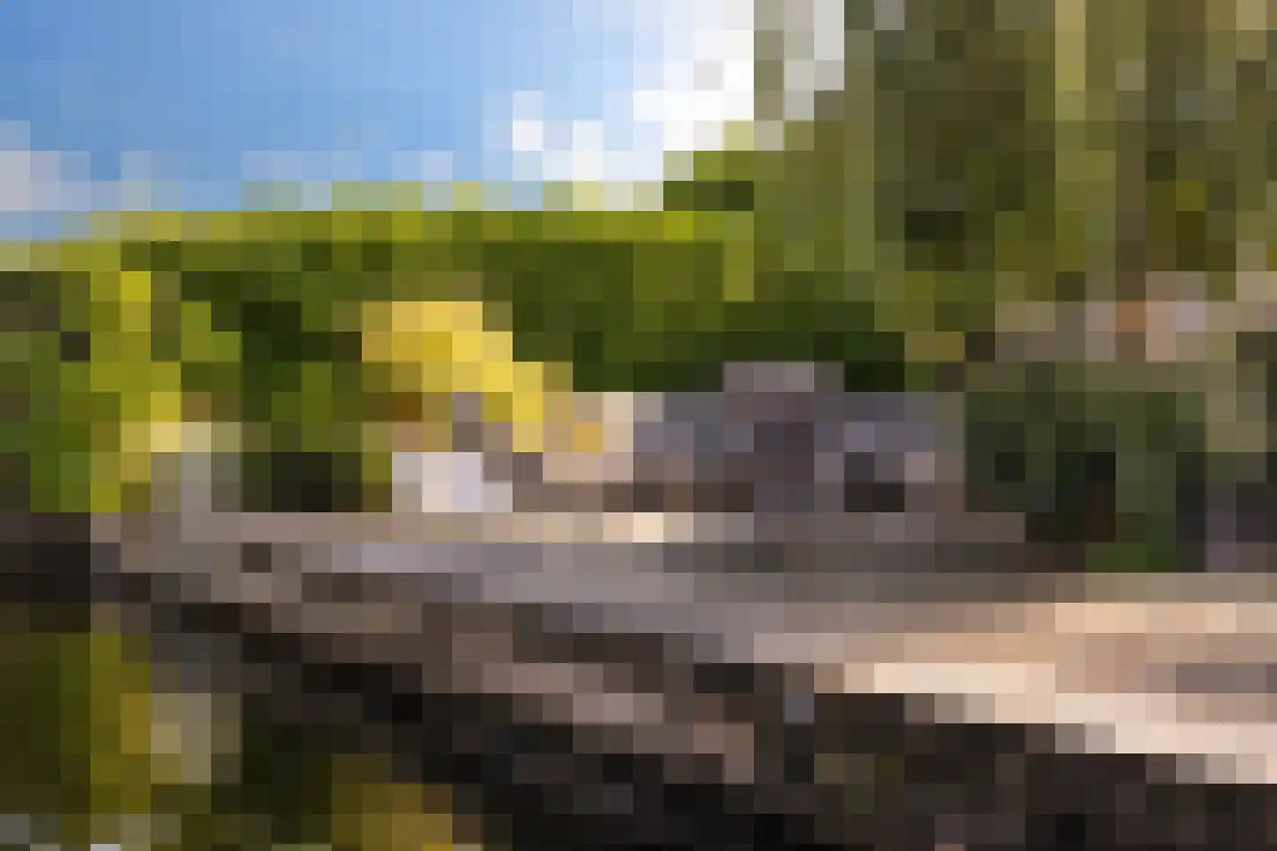 Seel 21 Terherne thumbnail 48
