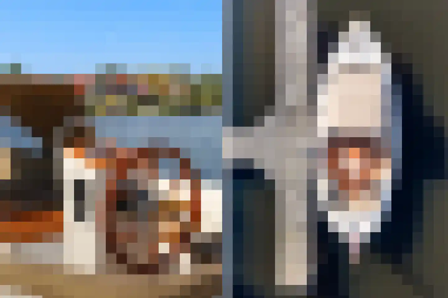 Seel 21 Terherne thumbnail 49