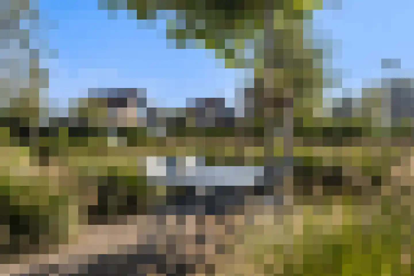 Seel 21 Terherne thumbnail 52