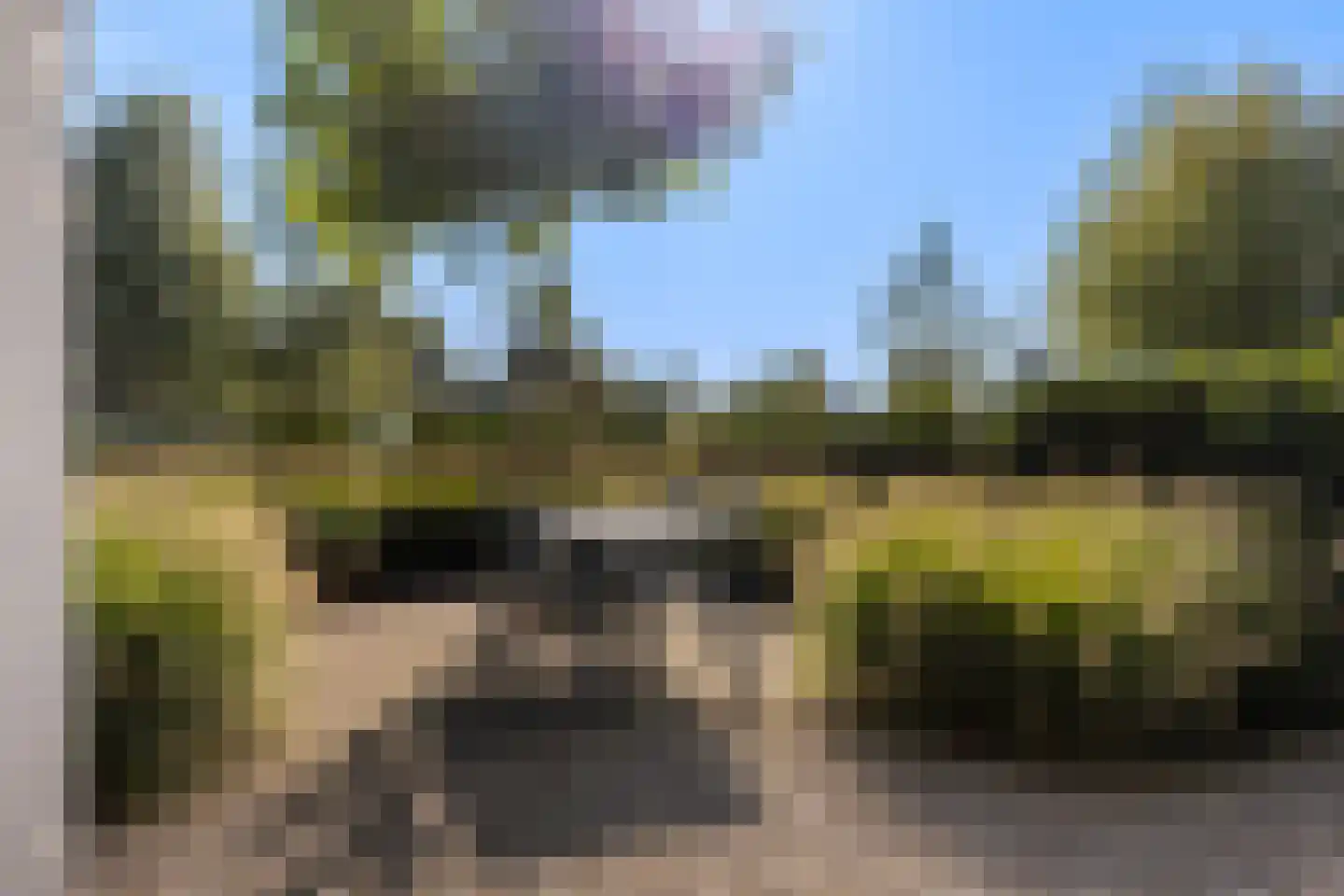 Seel 21 Terherne thumbnail 53