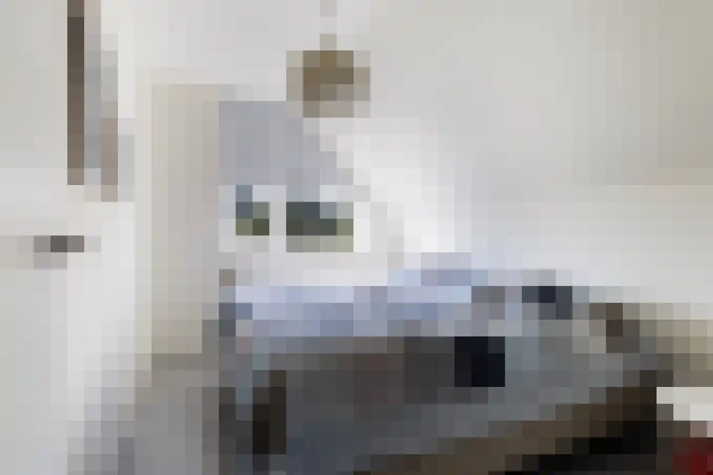 Seel 21 Terherne thumbnail 57