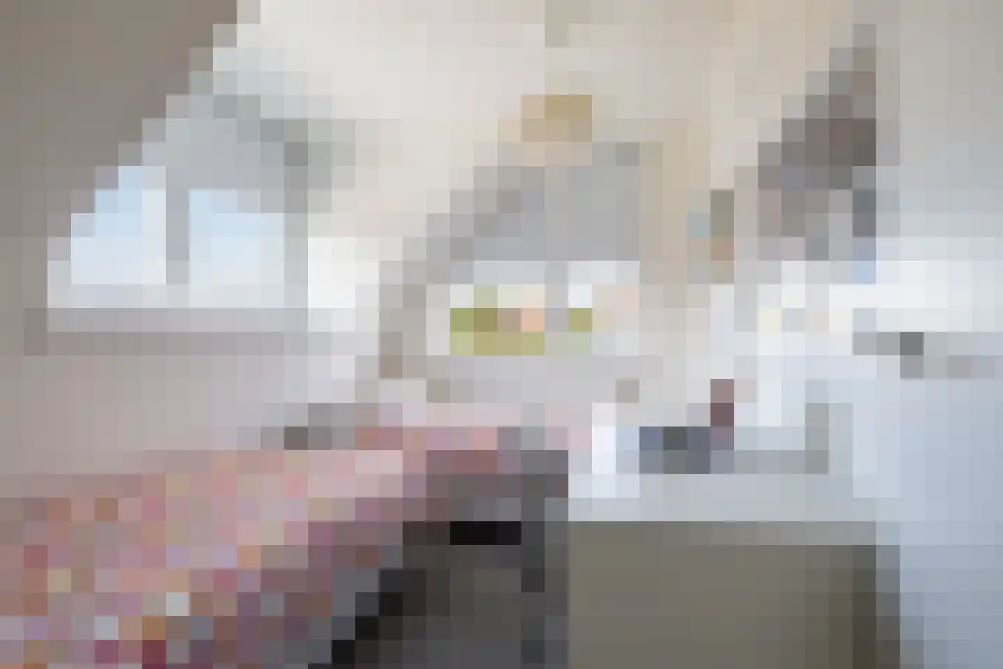 Seel 21 Terherne thumbnail 59
