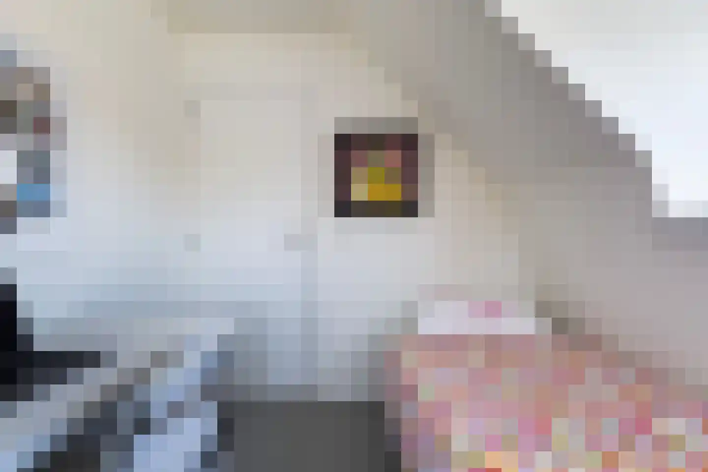 Seel 21 Terherne thumbnail 60