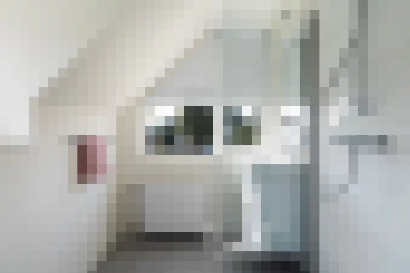 Seel 21 Terherne thumbnail 63