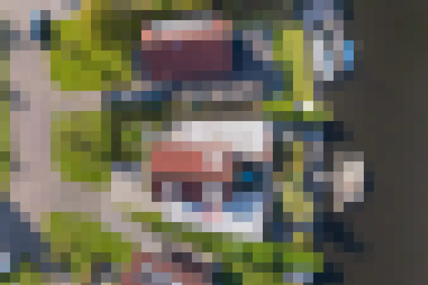 Seel 21 Terherne thumbnail 8