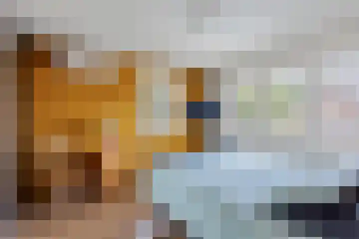 Seelandstraat 5 Nijverdal thumbnail 10