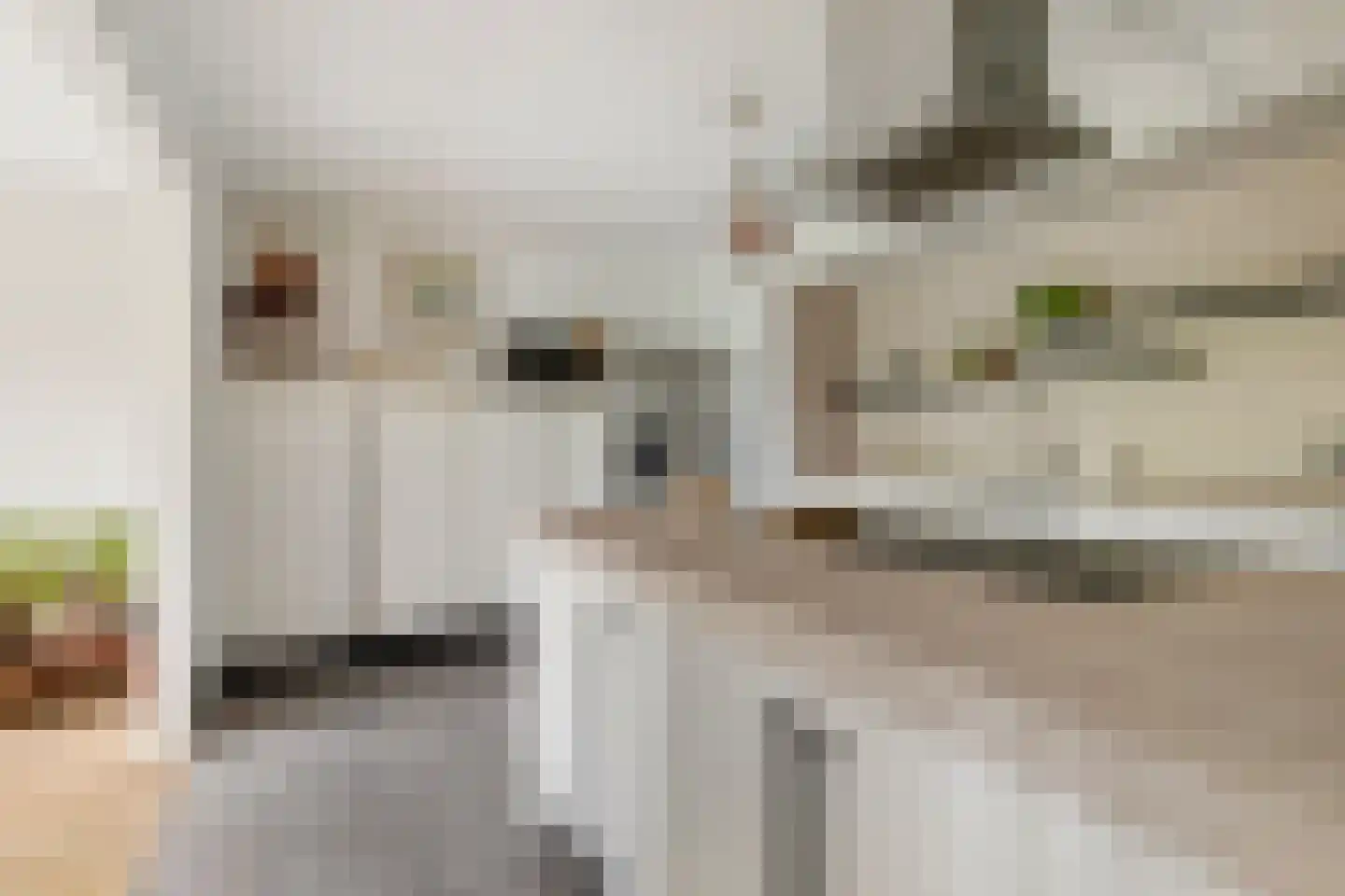 Seeligsingel 18 Breda thumbnail 17