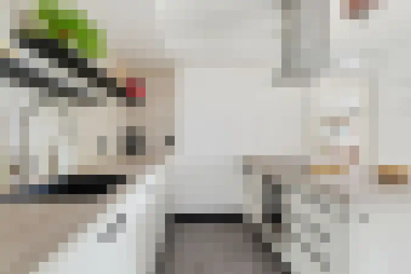 Seeligsingel 18 Breda thumbnail 18
