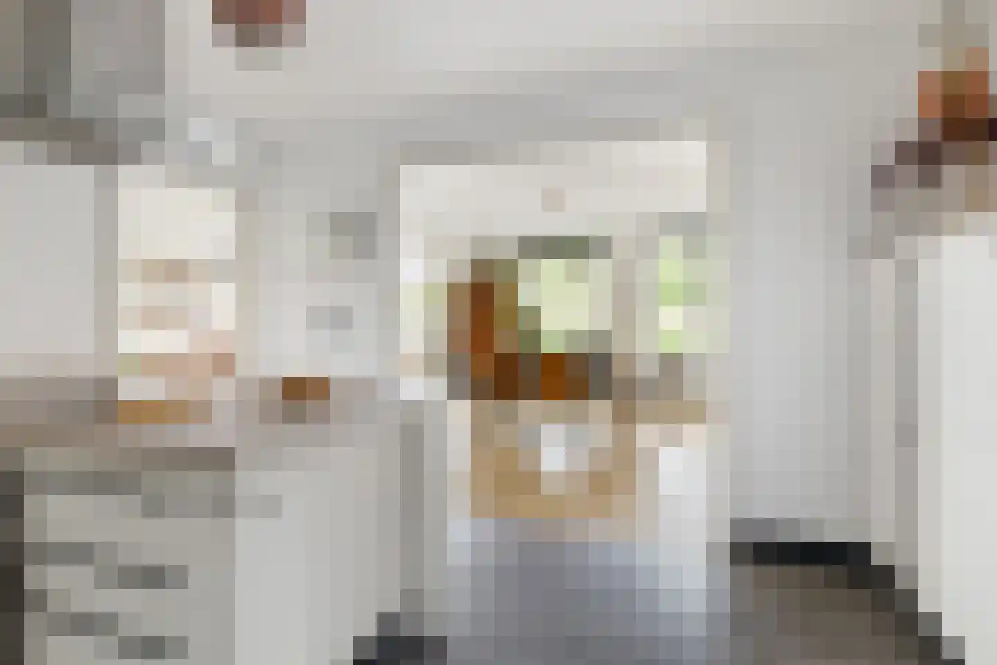 Seeligsingel 18 Breda thumbnail 19