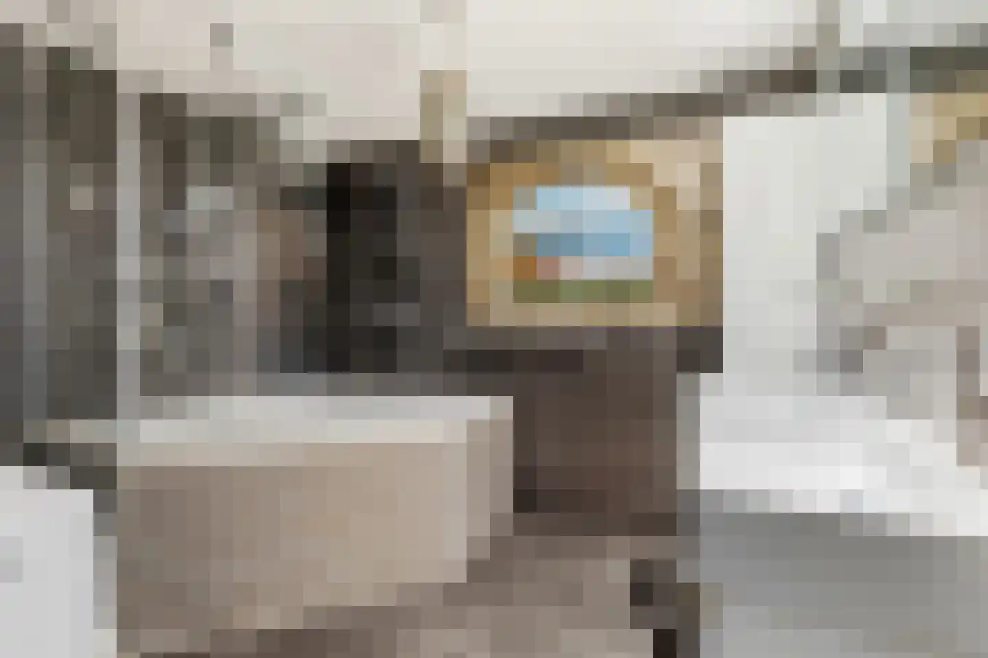 Seeligsingel 18 Breda thumbnail 21