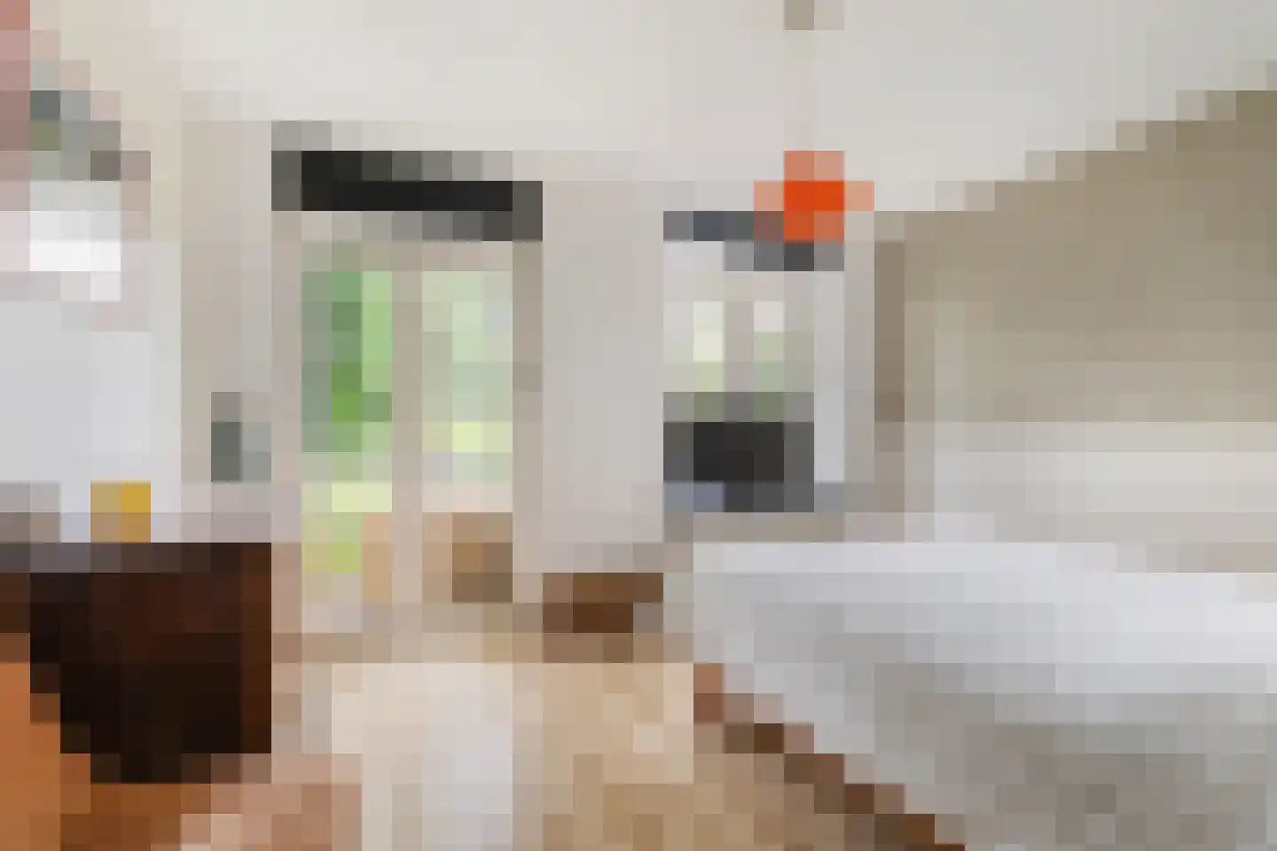 Seeligsingel 18 Breda thumbnail 22