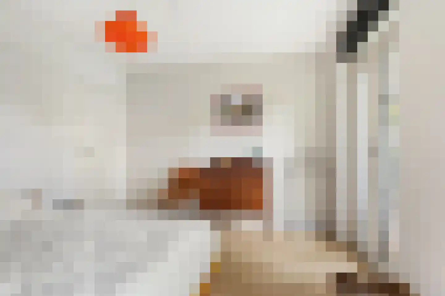 Seeligsingel 18 Breda thumbnail 23