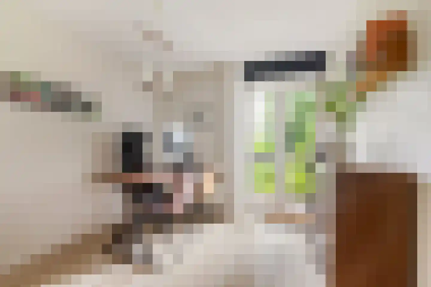 Seeligsingel 18 Breda thumbnail 24