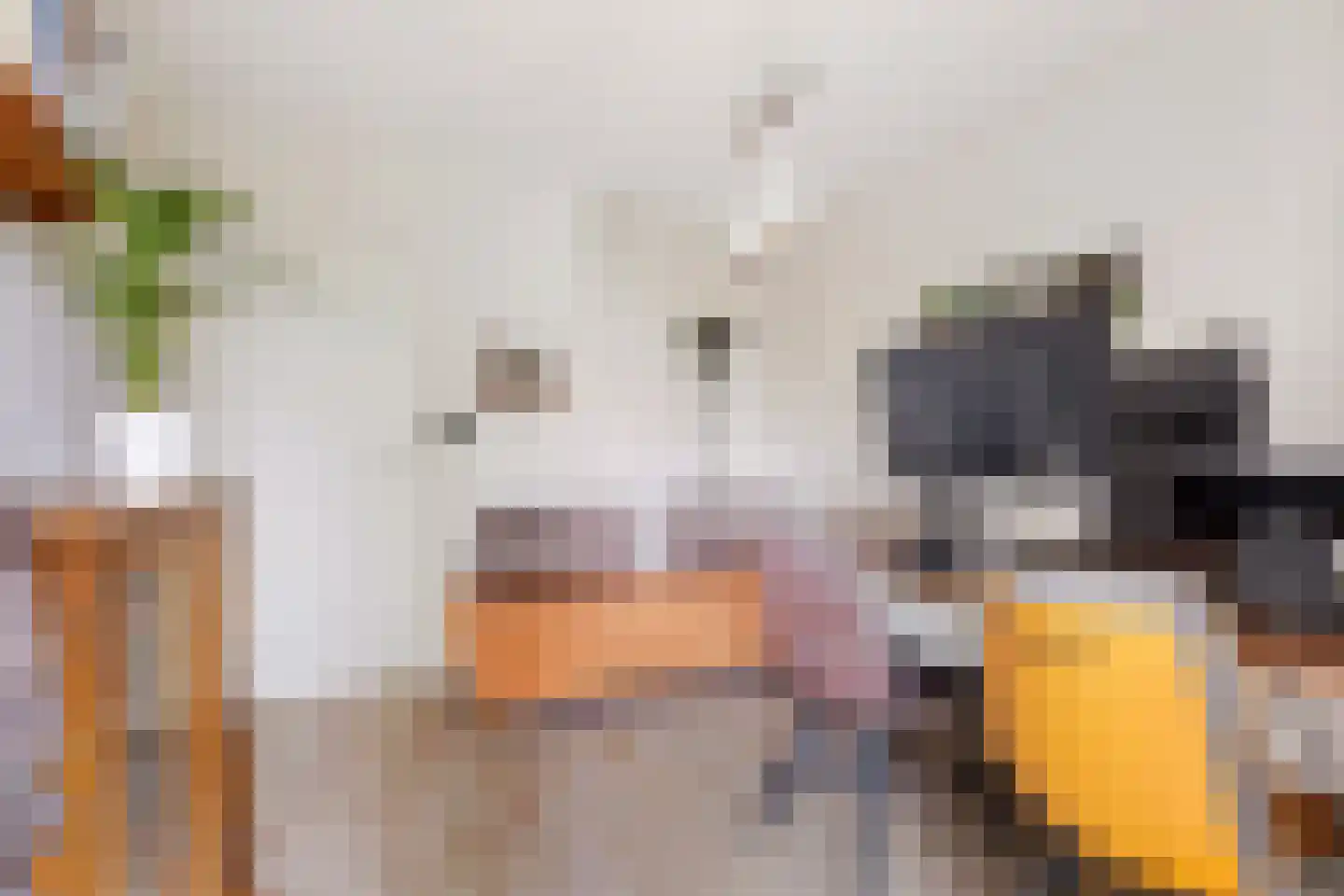 Seeligsingel 18 Breda thumbnail 25