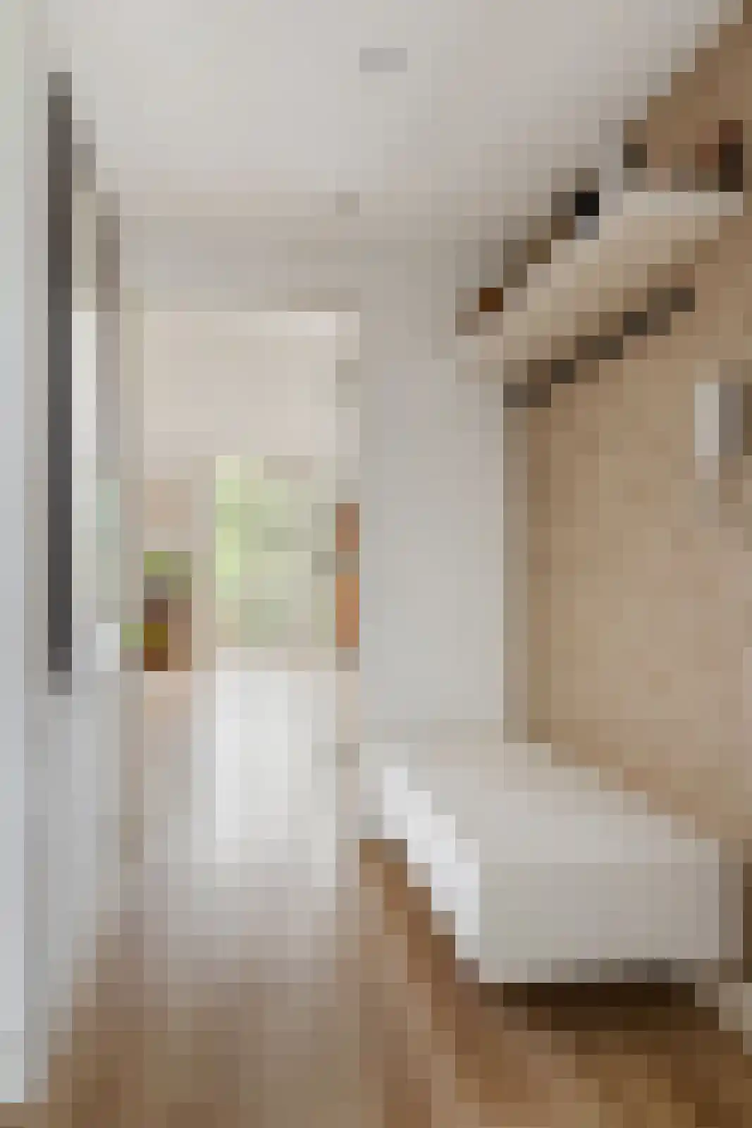 Seeligsingel 18 Breda thumbnail 7
