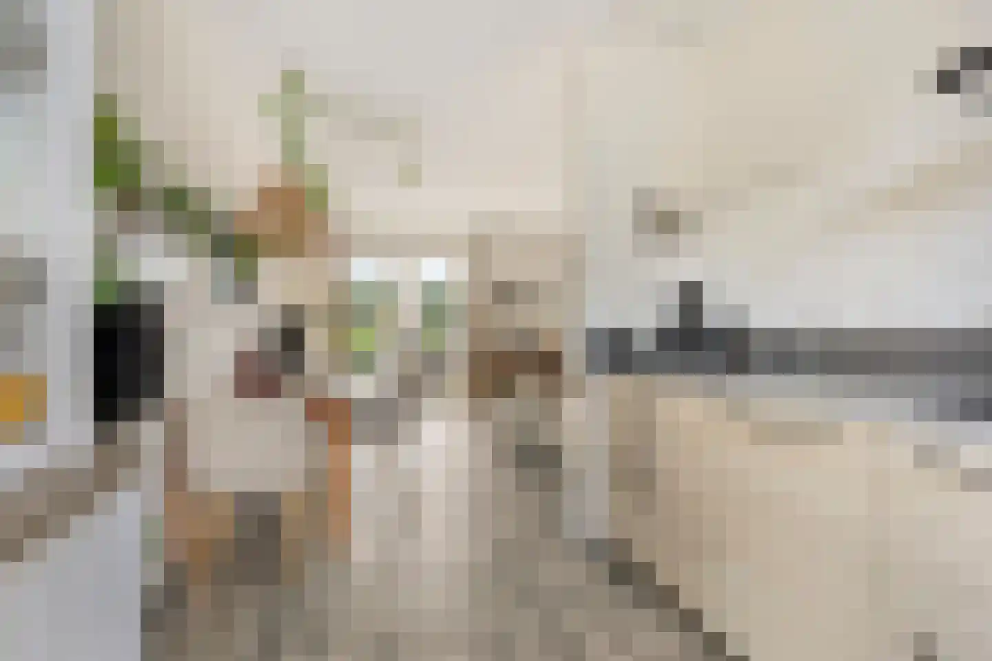 Seemshof 13 Neer thumbnail 13