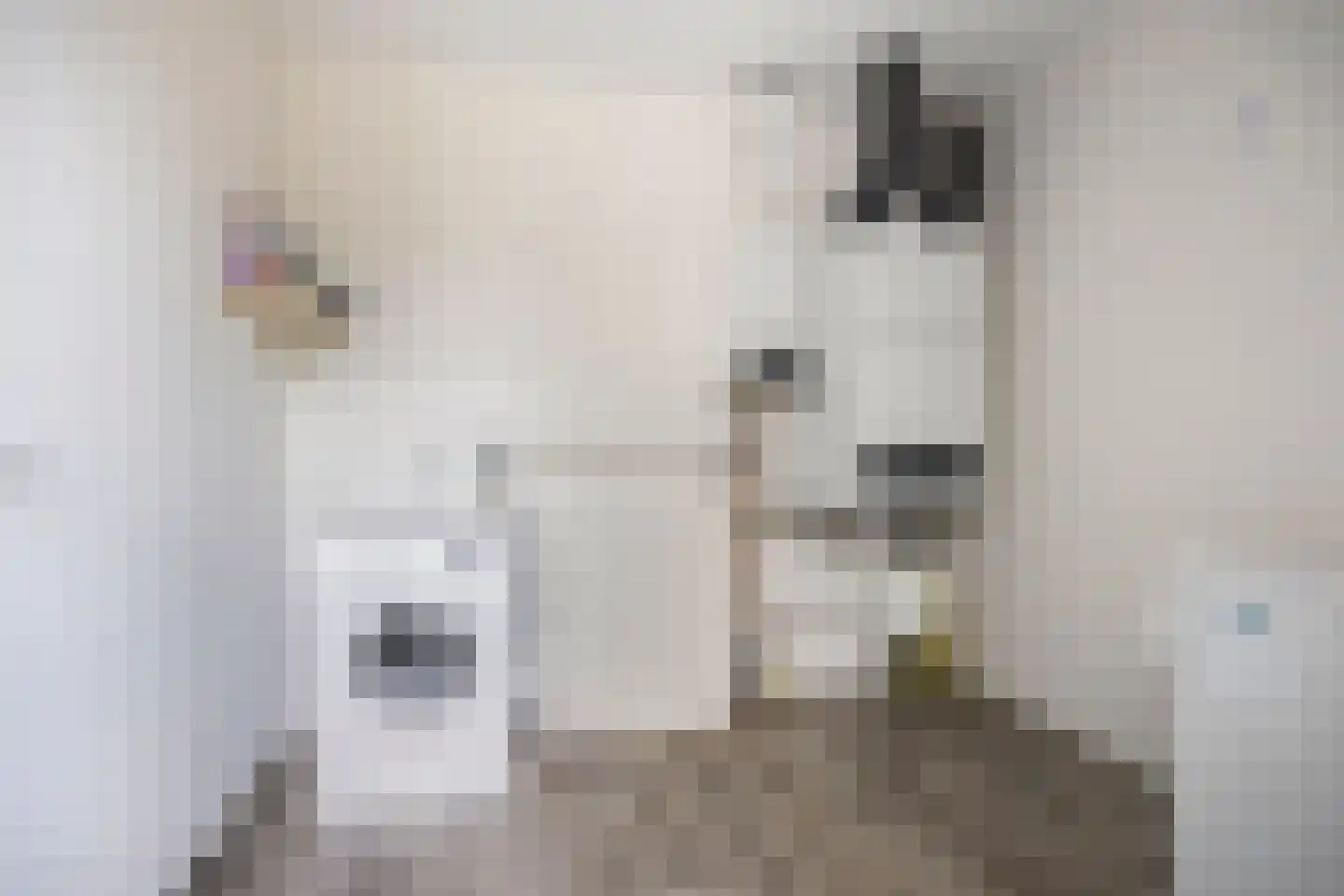 Seemshof 13 Neer thumbnail 21