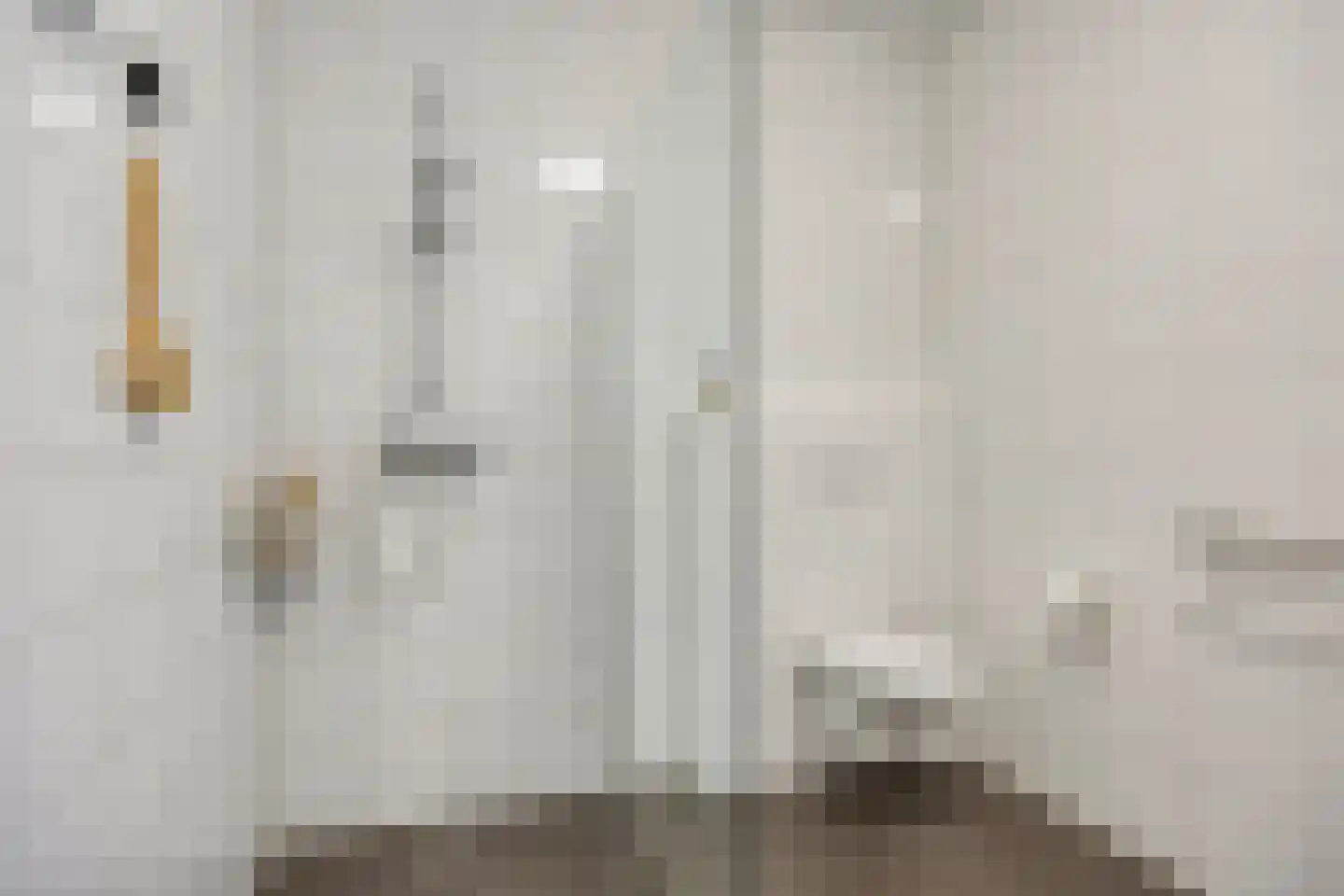 Seemshof 13 Neer thumbnail 24