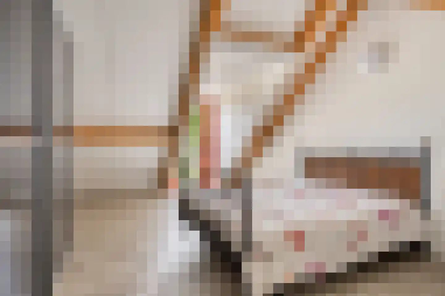 Seemshof 13 Neer thumbnail 25