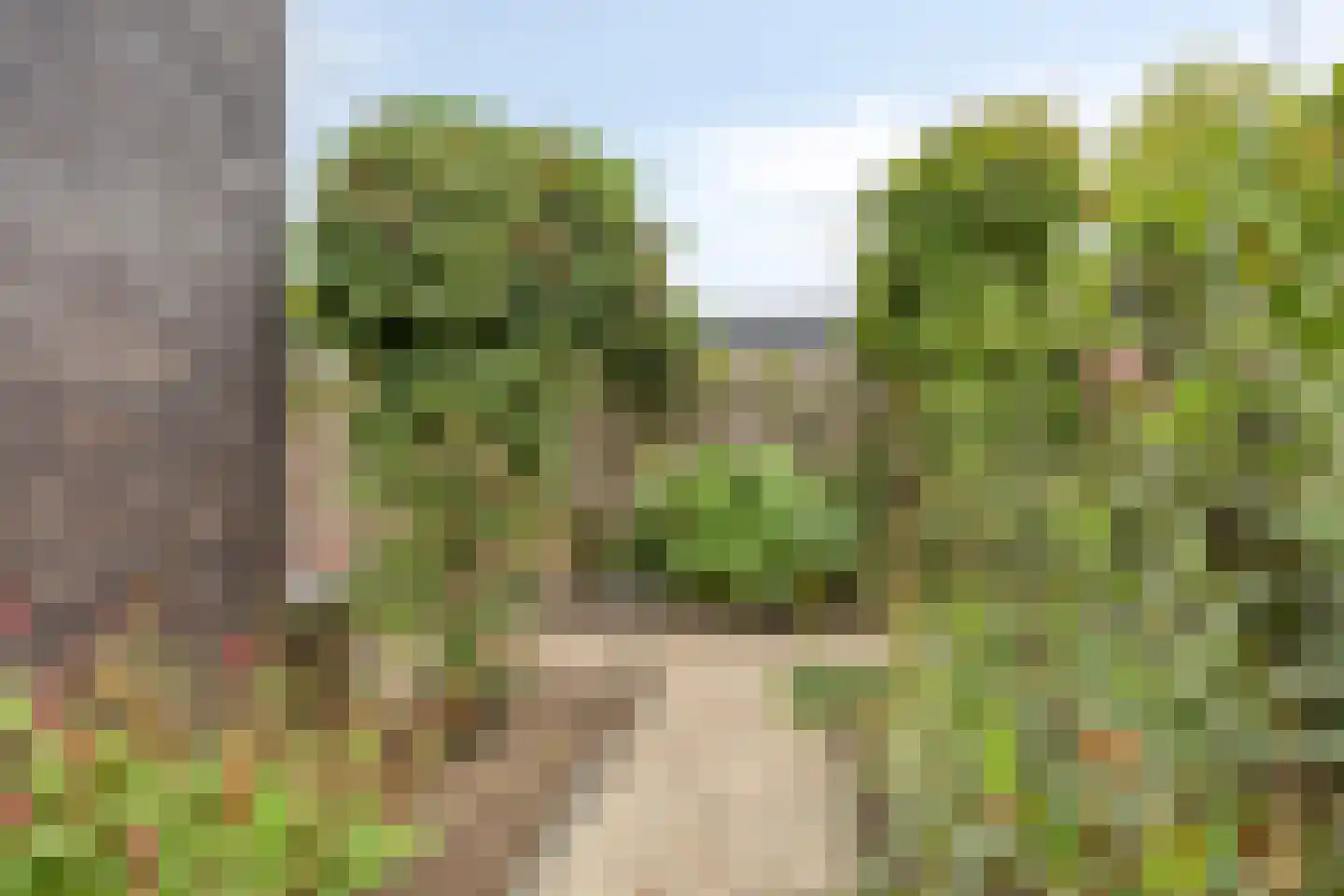Seemshof 13 Neer thumbnail 29