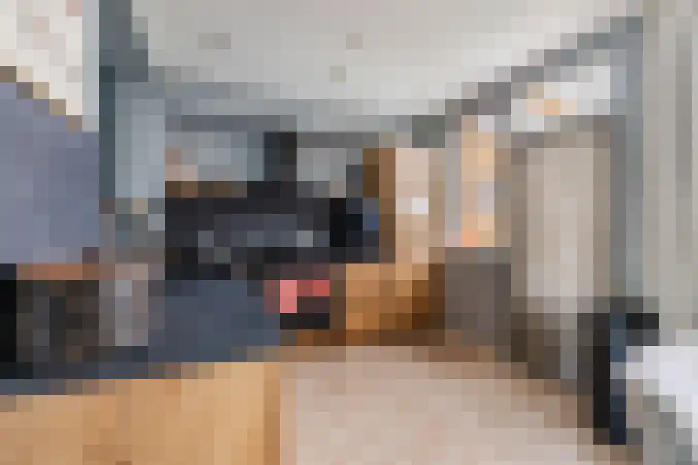 Seendlaan 6 Rolde thumbnail 21